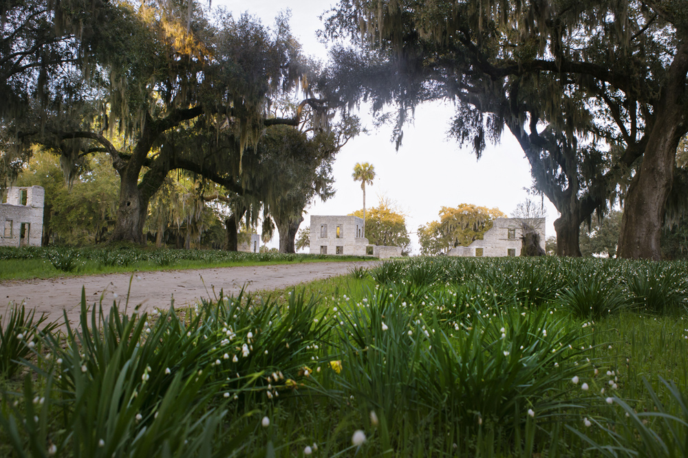 The Spring Island Pop Up Dinner