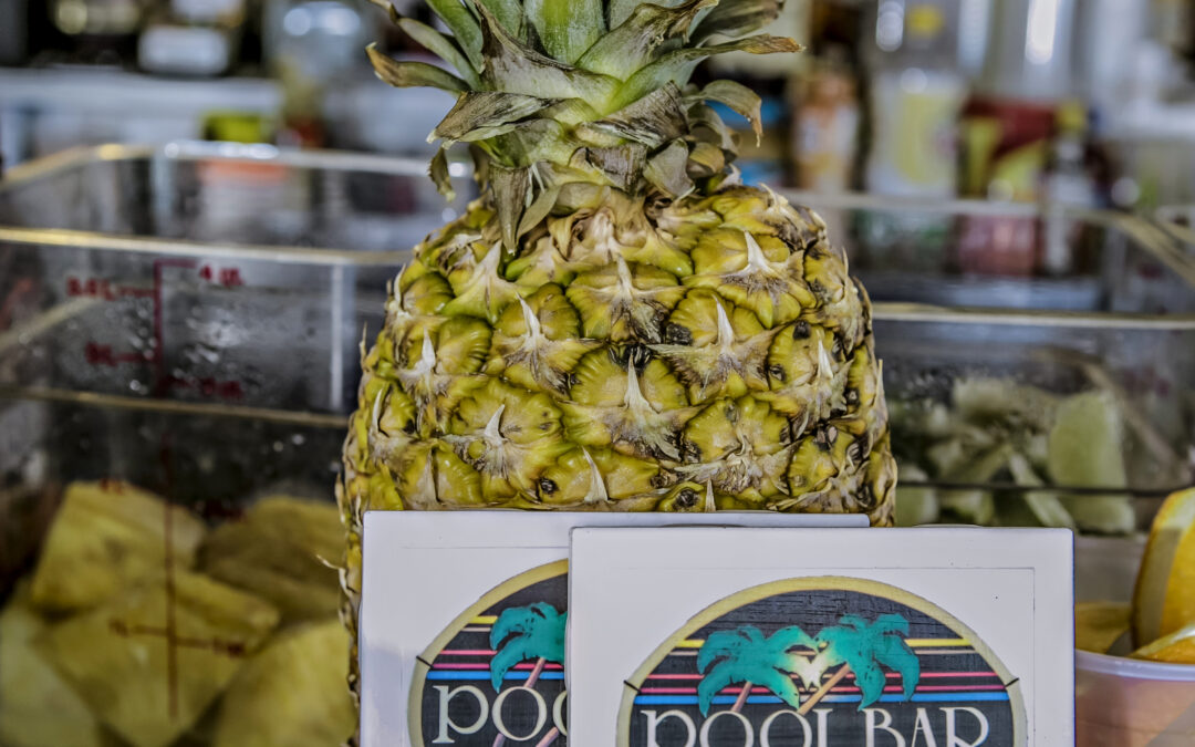 Hilton Head Faces: Pool Bar Jim