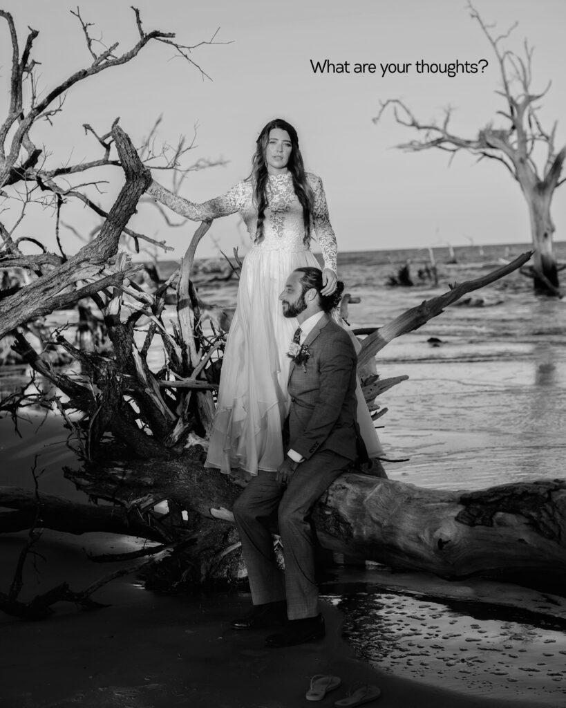 Bride and groom on the beach at Hunting Island standing on a fallen tree in the water